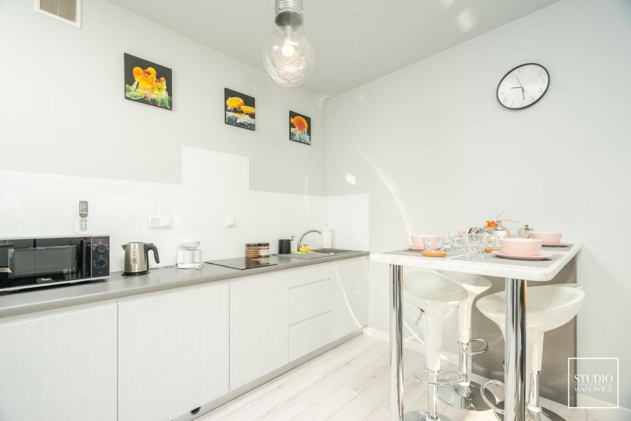 ヴァドヴィツェApartament Modernアパートメント エクステリア 写真